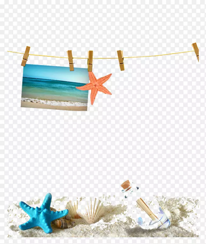 沙滩海螺网模板-海星照片装饰材料
