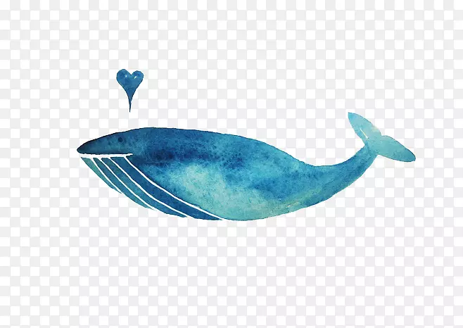 鲸鱼蓝色海洋插图-鲸鱼