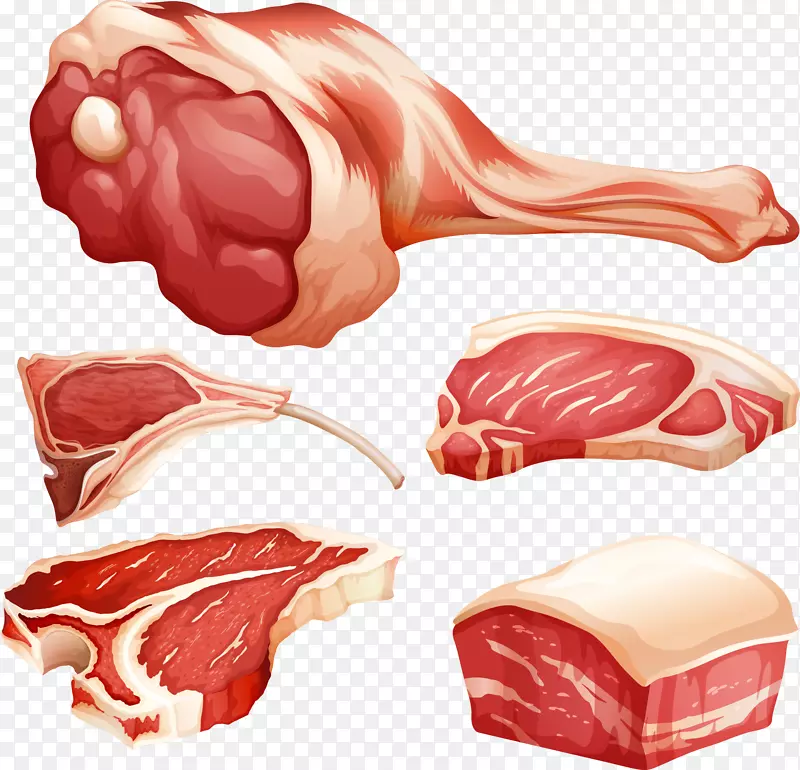 肉类保税.免费食品插图.肉