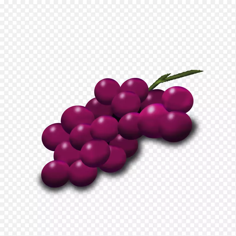 葡萄紫葡萄效果图