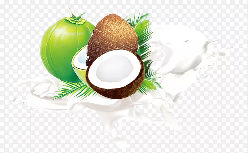 椰奶水果叶.椰子材料