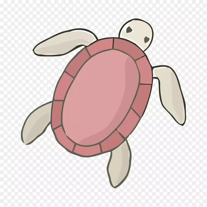 海龟-漆龟材料