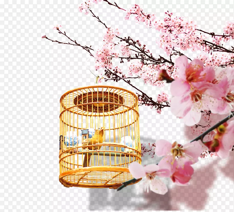 小鸟下载樱花-桃花