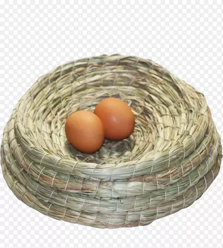 食用鸟蛋-两只鸟蛋