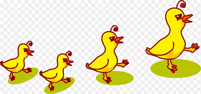 鸭鸡公鸡-创意雏鸭