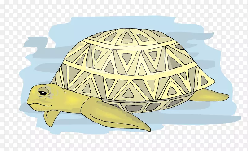 海龟章鱼龟-材料-深海海龟