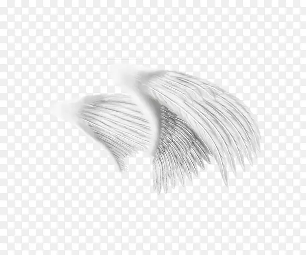 白色黑色图案-白画翅膀创意