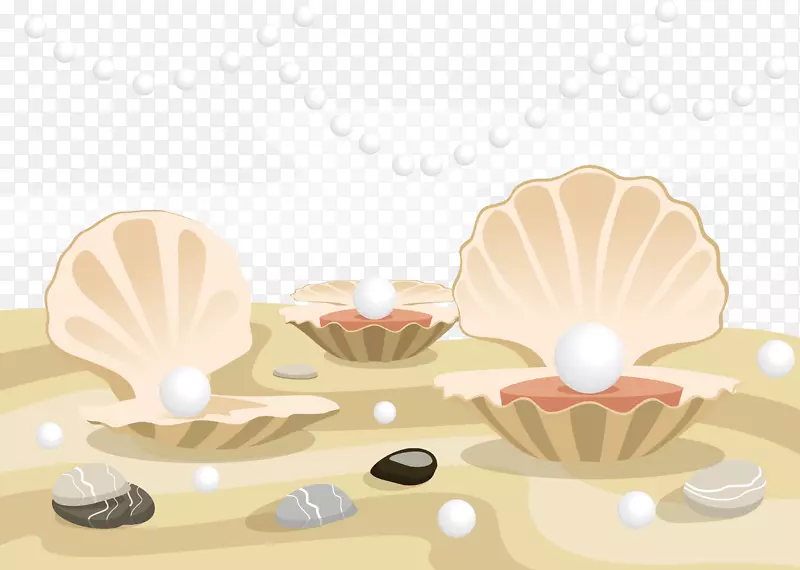 牡蛎珍珠贝壳-珍珠壳