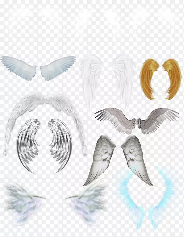 机翼-翅膀装饰