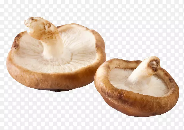 菜香菇食真菌-两种蘑菇