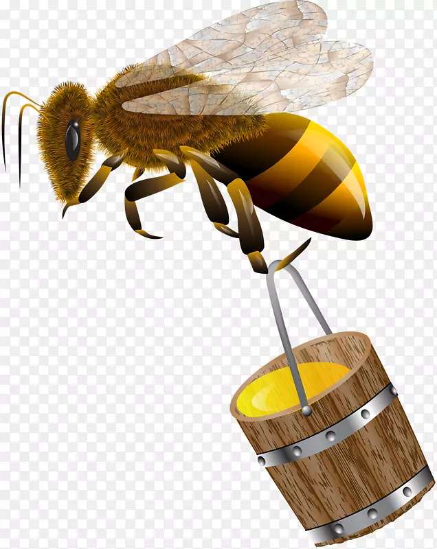 蜜蜂王国-免费剪贴画-蜜蜂携带蜂蜜
