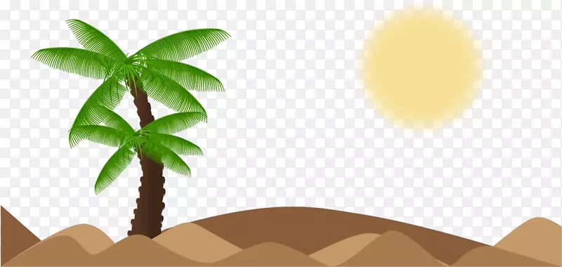 槟榔科植物景观，-海滩，椰子树和太阳