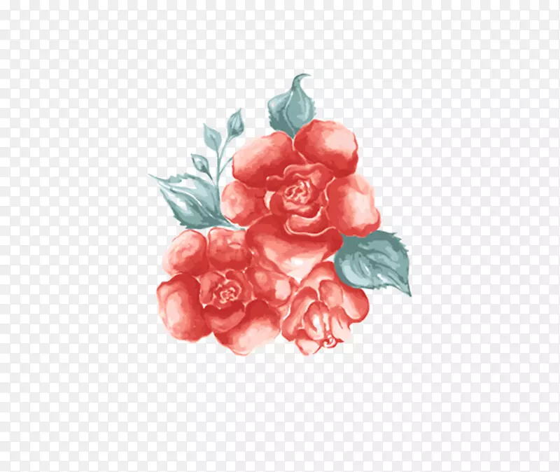 花红沙滩玫瑰u30ab30fcu30c9-玫瑰插图