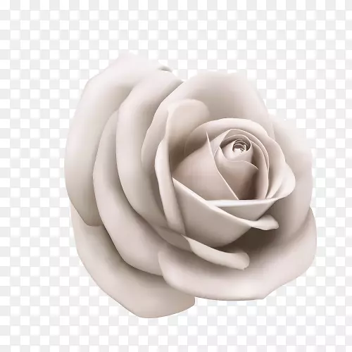 纸插图.白玫瑰