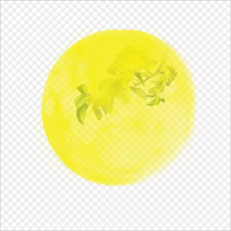 黄色圆果型-月亮