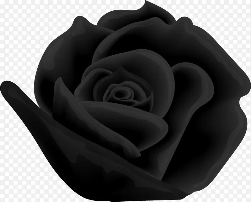 沙滩玫瑰图手绘黑色玫瑰