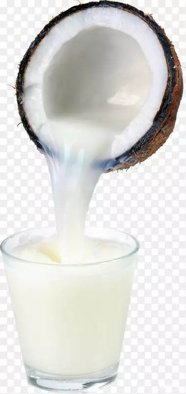 果汁仙人掌椰奶椰子水-椰奶