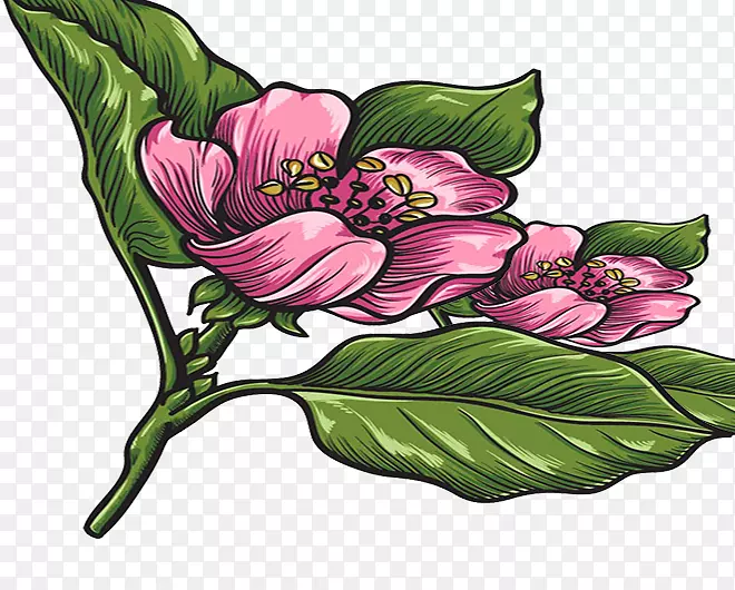 花朵设计-浅粉色花束