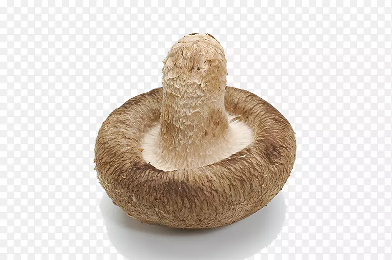 食用菌香菇食品.倒置蘑菇