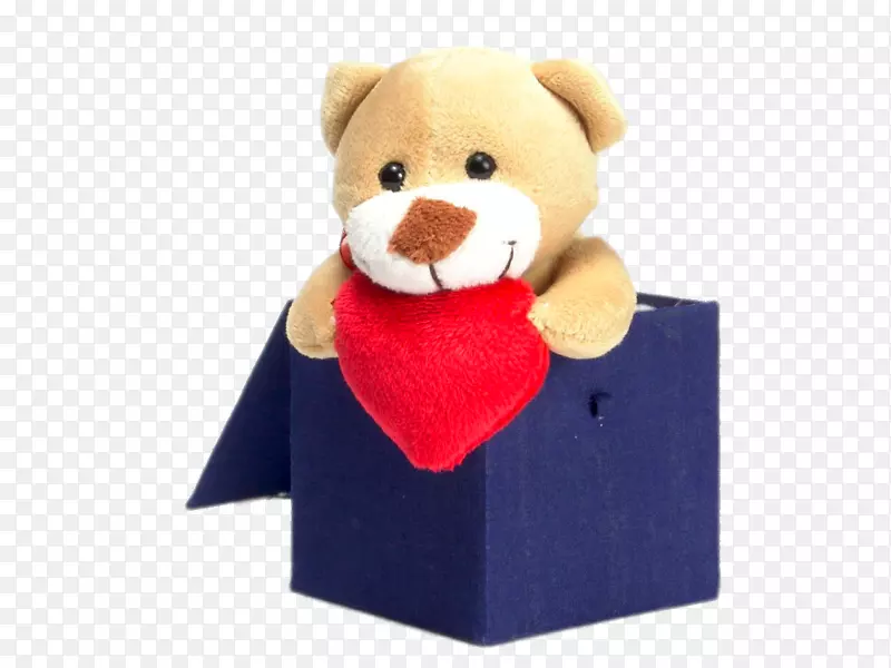熊娃娃摄影托文特-熊躺在一个盒子里