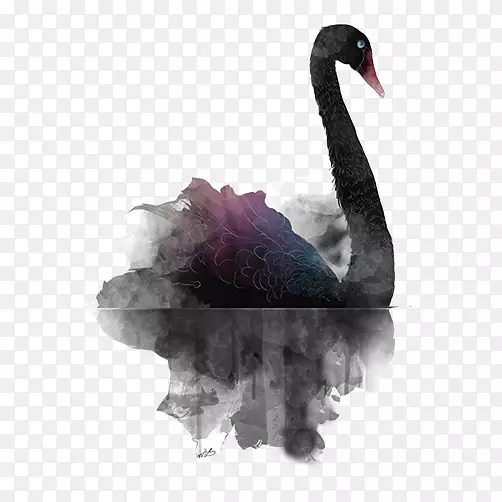黑天鹅理论-黑天鹅在墨水中游泳