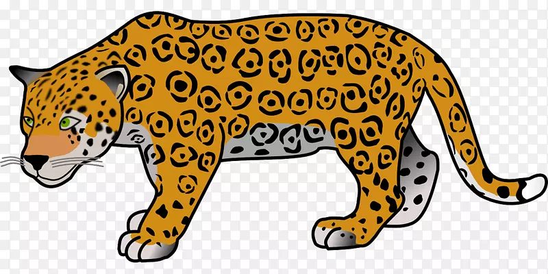 美洲豹x型豹夹艺术-黄豹