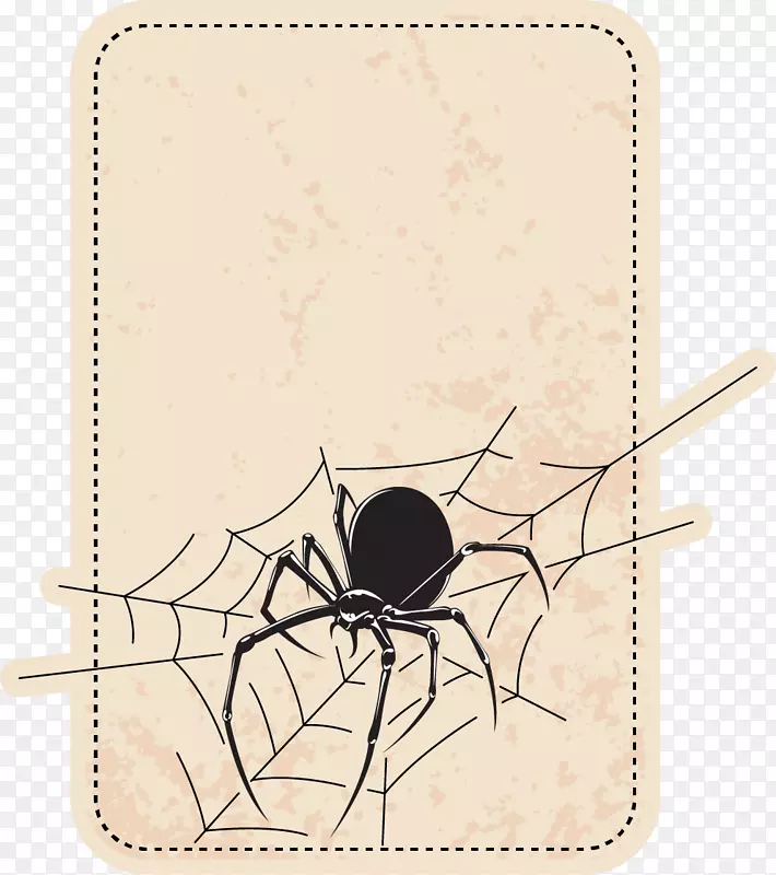 蜘蛛图标-蜘蛛边界