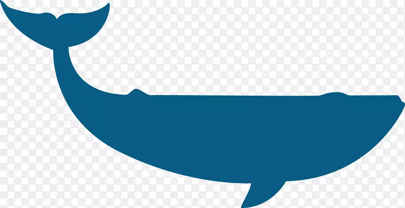 海豚鲸谷歌图片-白鲸