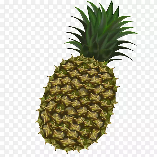热带水果菠萝猕猴桃卡通菠萝