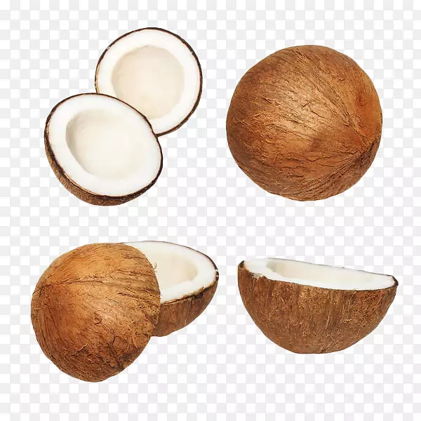 椰子奶-手绘椰子