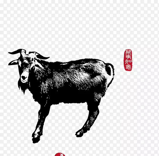 羊插图-十二生肖，羊，动物