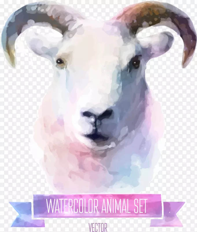 水彩画可爱插图彩色山羊