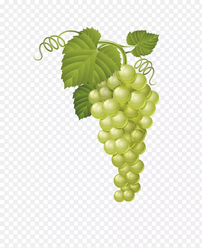 普通葡萄果实剪辑艺术-创意绿色葡萄