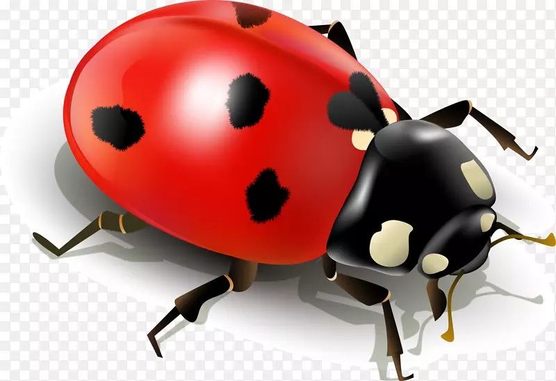 昆虫瓢虫剪贴画.红色简化瓢虫