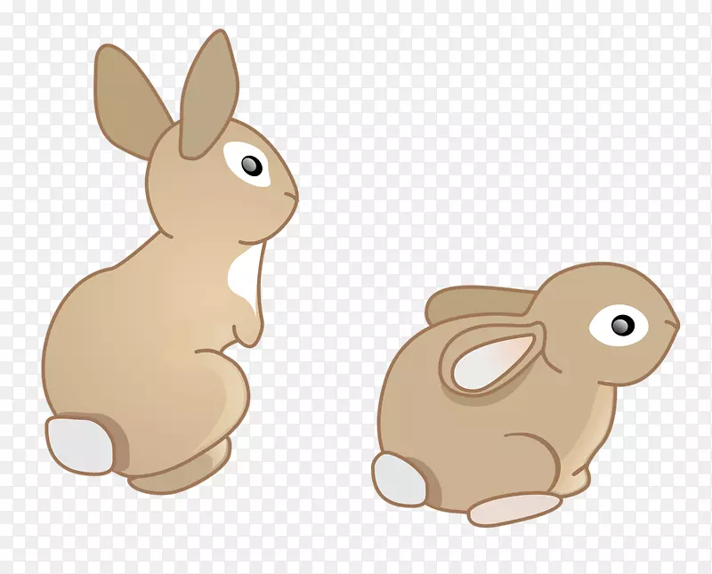 国内兔欧洲兔卡通兔