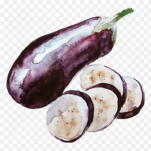 茄子蔬菜紫色手绘紫色茄子
