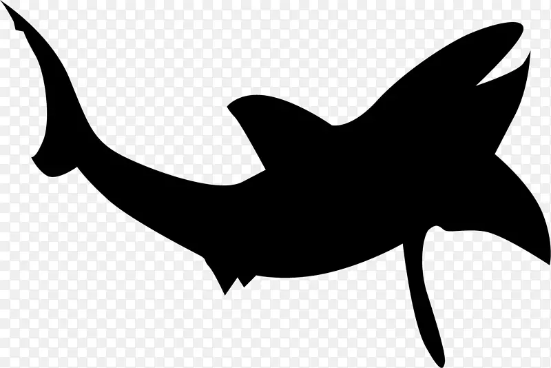 鲨鱼剪影剪贴画-白鲸