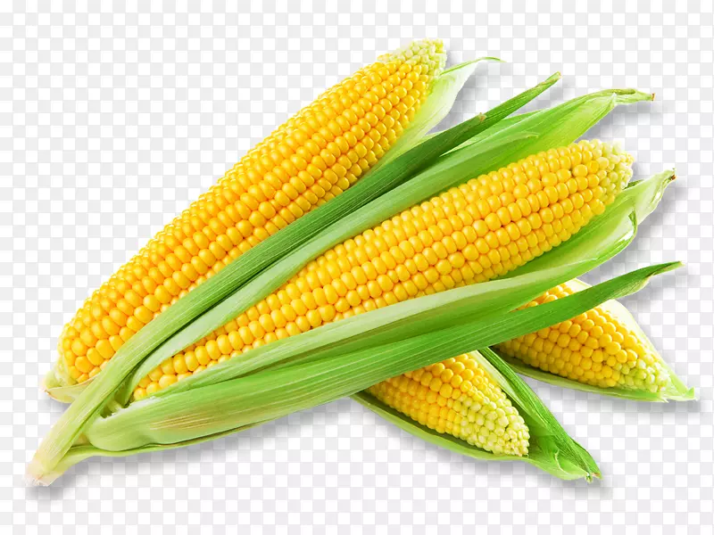 玉米汤玉米杂烩在玉米芯上奶油玉米甜玉米-玉米