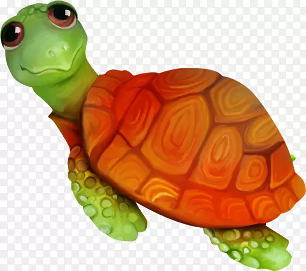 海龟-卡通动物爬行小乌龟
