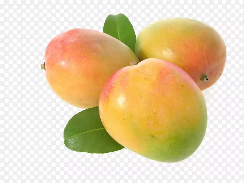 芒果图片水果-芒果