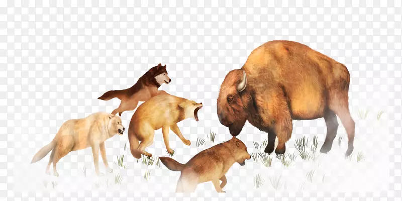 动物土坯插图-动物搏斗