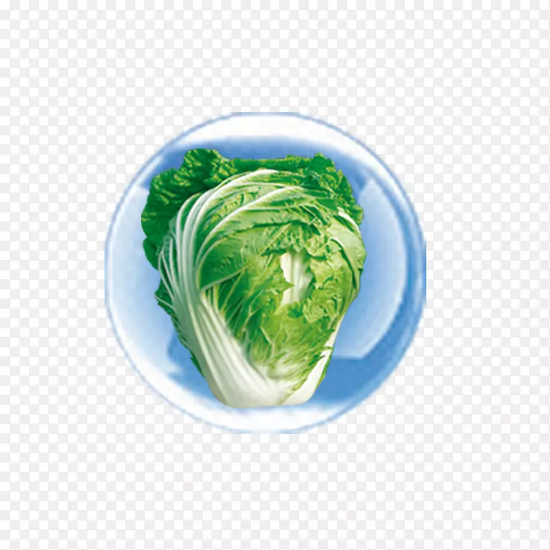 叶菜素食菜蔬菜卷心菜