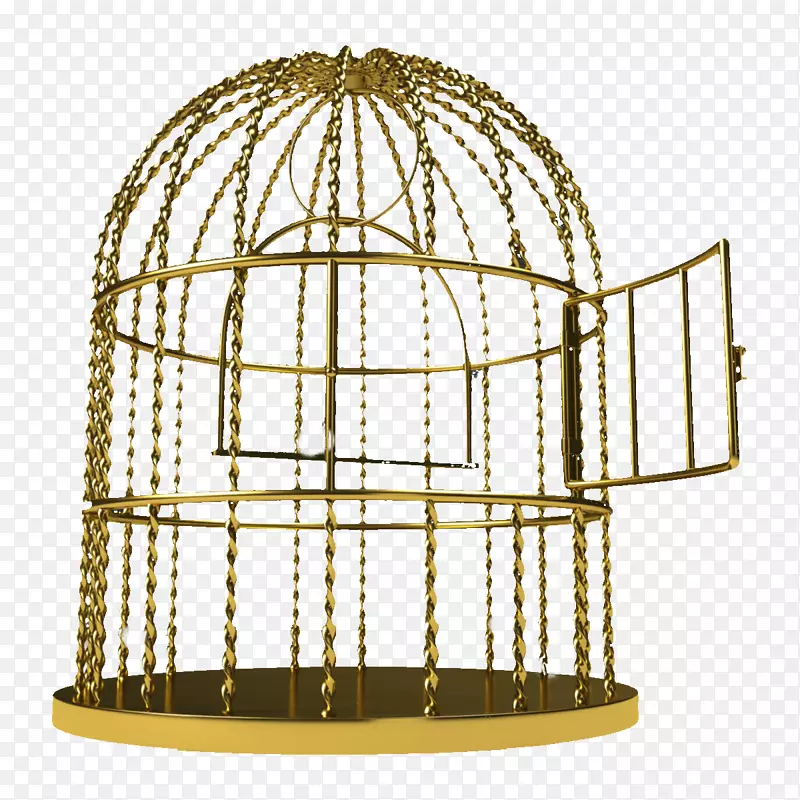鸟笼-金色铁笼