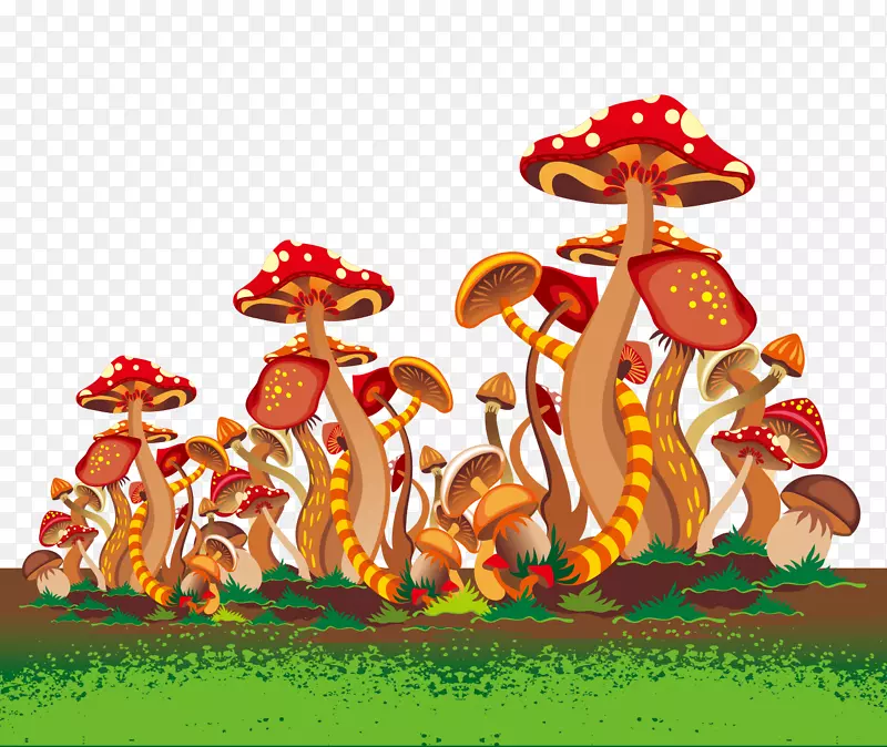 魔土图解-蘑菇丛林