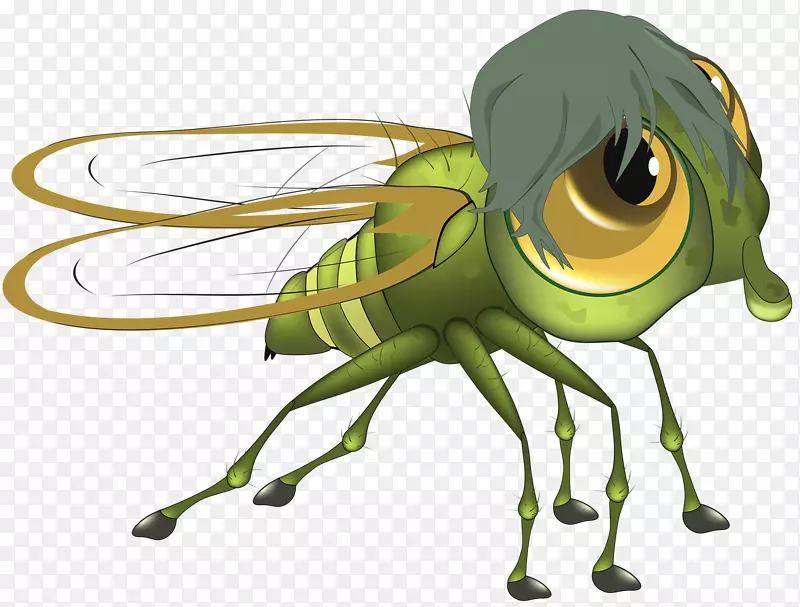 苍蝇卡通插图-绿色苍蝇
