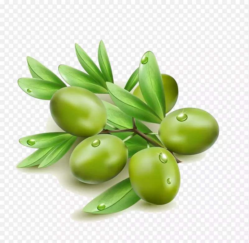 橄榄油橄榄叶夹艺术.绿色橄榄