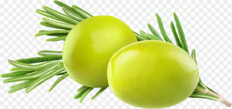 橄榄叶、橄榄枝、橄榄油营养.绿色橄榄