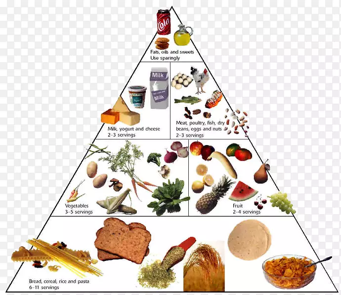 营养食品金字塔健康饮食金字塔健康成分金字塔