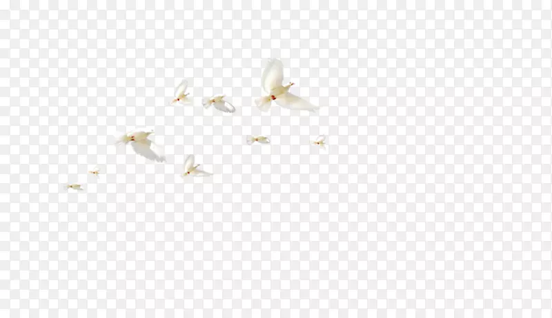 白角图案-鸟群