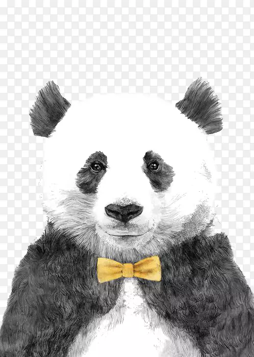 大熊猫熊画插图-大熊猫